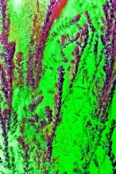 N 042E